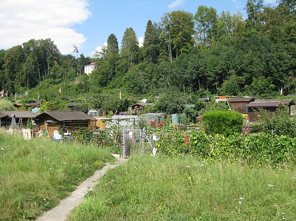 Vue des jardins familiaux