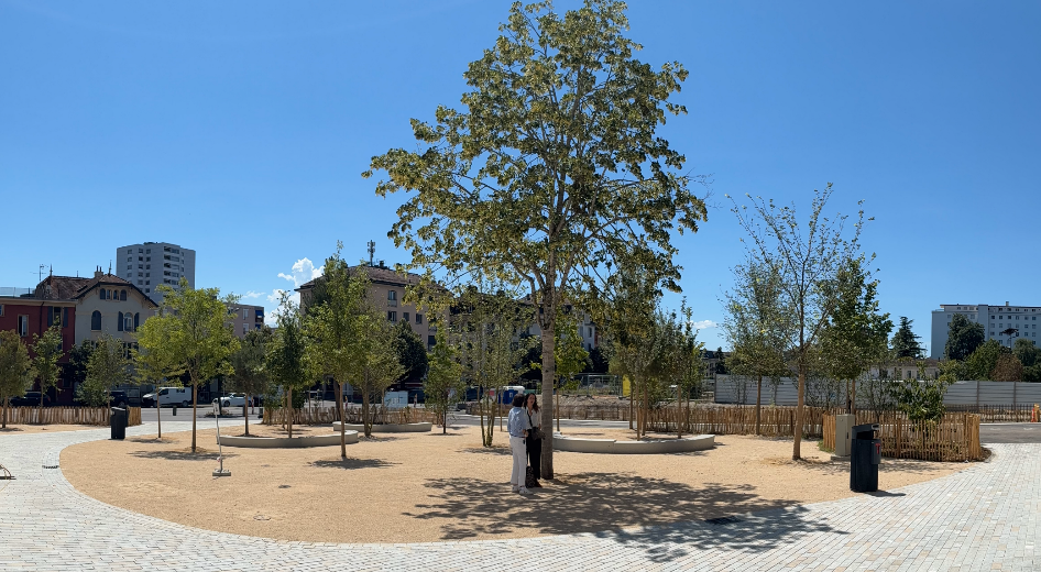 Nouveaux arbres à Malley