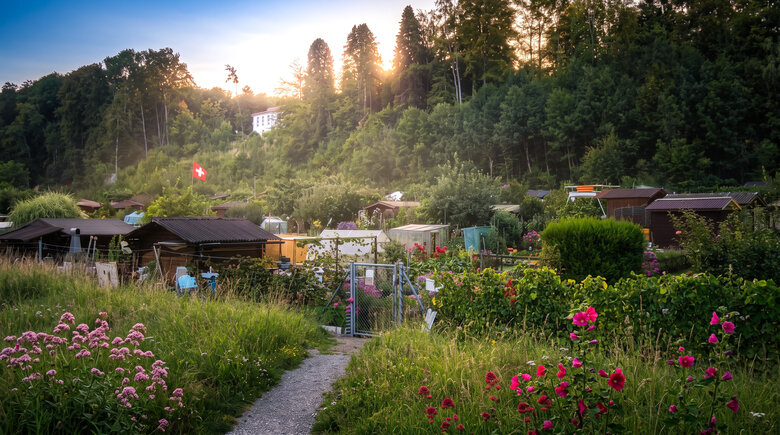 Jardins familiaux