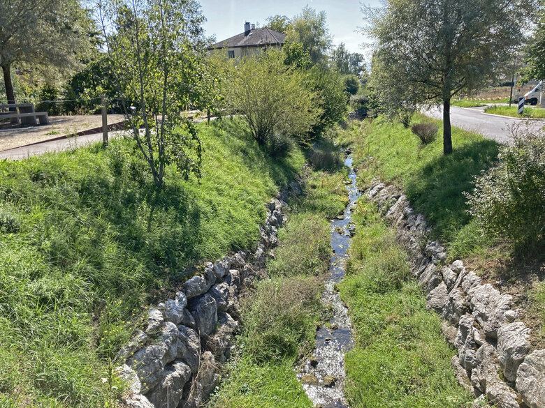 Nature en Ville