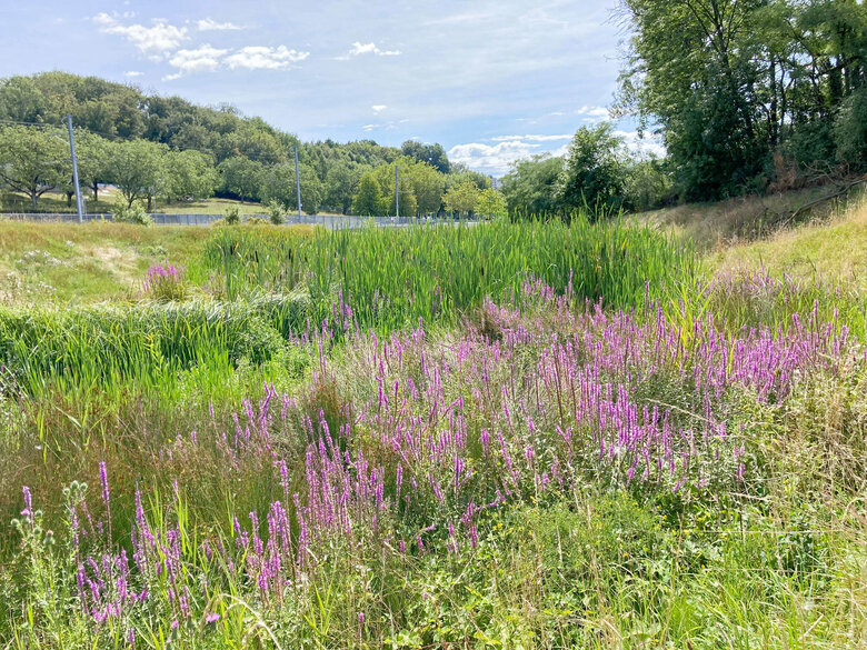 Nature & biodiversité