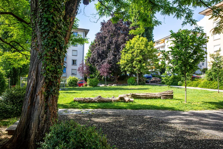 Abattage et élagage du patrimoine arboré